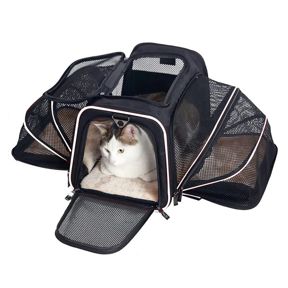 Sac de Transport Portable pour Animaux – Sac Respirant et Pliable pour Chats et Chiens - 🐾 Miaou & Co