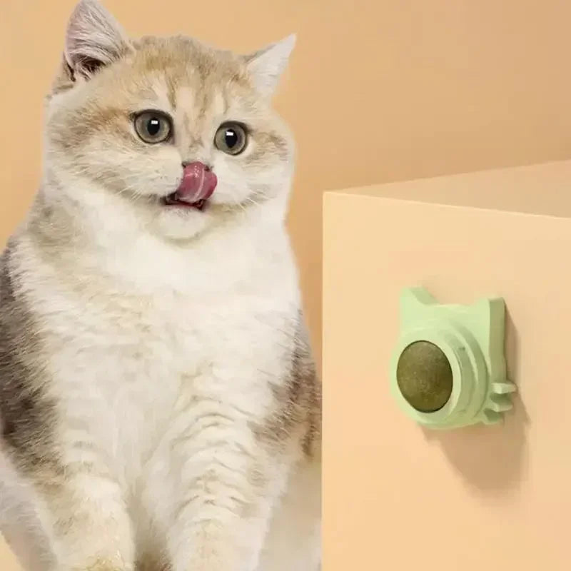 Balles de Menthe à Chat - Jouet Lickable et Snack Amusant - 🐾 Miaou & Co