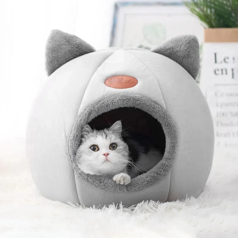 Lit Igloo Douillet pour Chat et Chien - Maison avec Coussin Amovible - 🐾 Miaou & Co