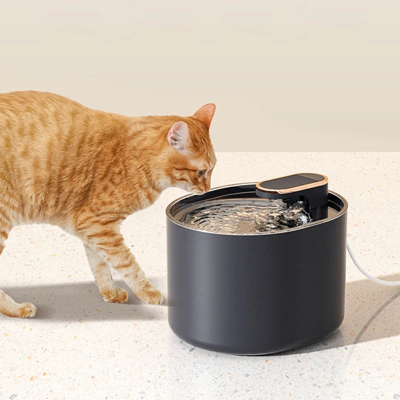 Fontaine à Eau Électrique USB pour Animaux – Distributeur d’Eau avec Filtre Automatique - 🐾 Miaou & Co