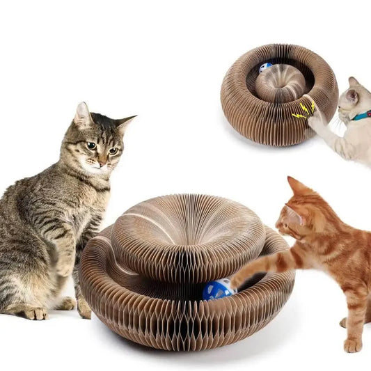 Tapis de Grattage Magique Pliable : Le Toy Idéal pour Chats ! 🐾✨ - 🐾 Miaou & Co