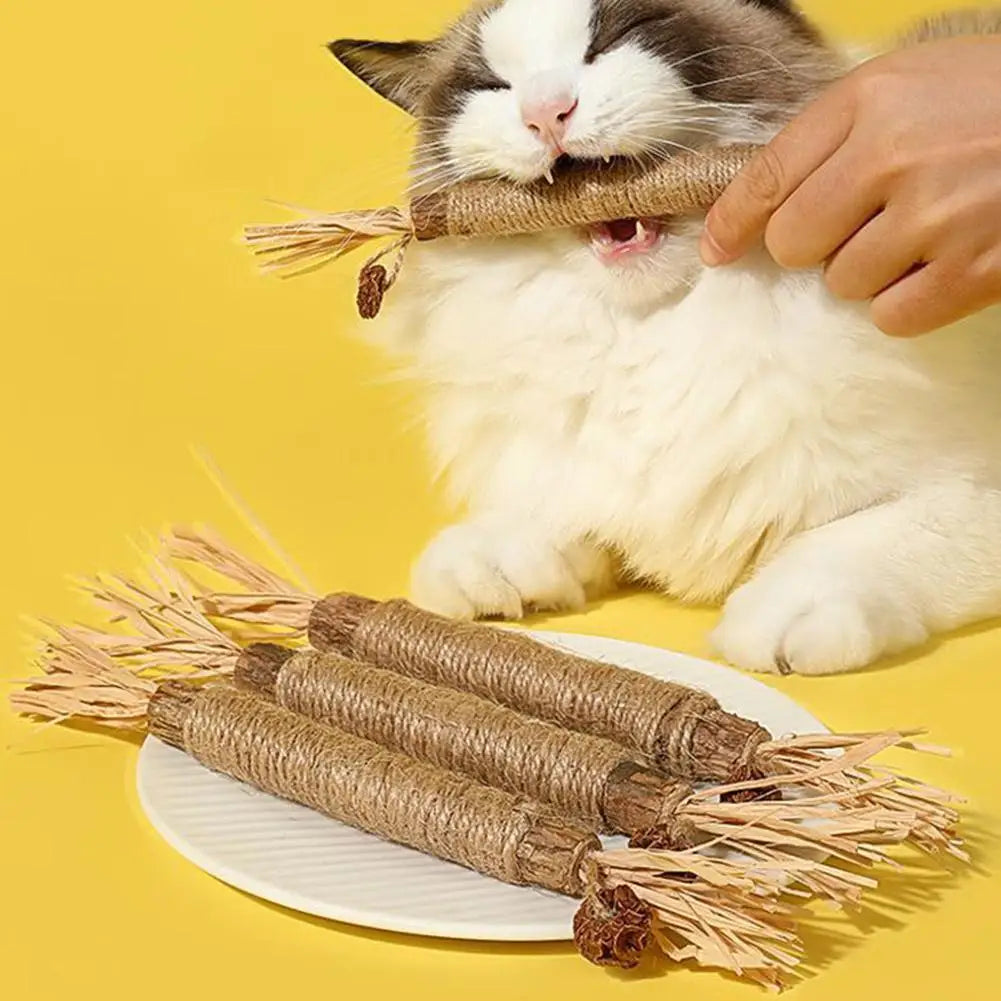 Bâtonnets à Mâcher pour Chats en Silvervine – Jouet Naturel avec Herbe à Chat pour Soin Dentaire - 🐾 Miaou & Co