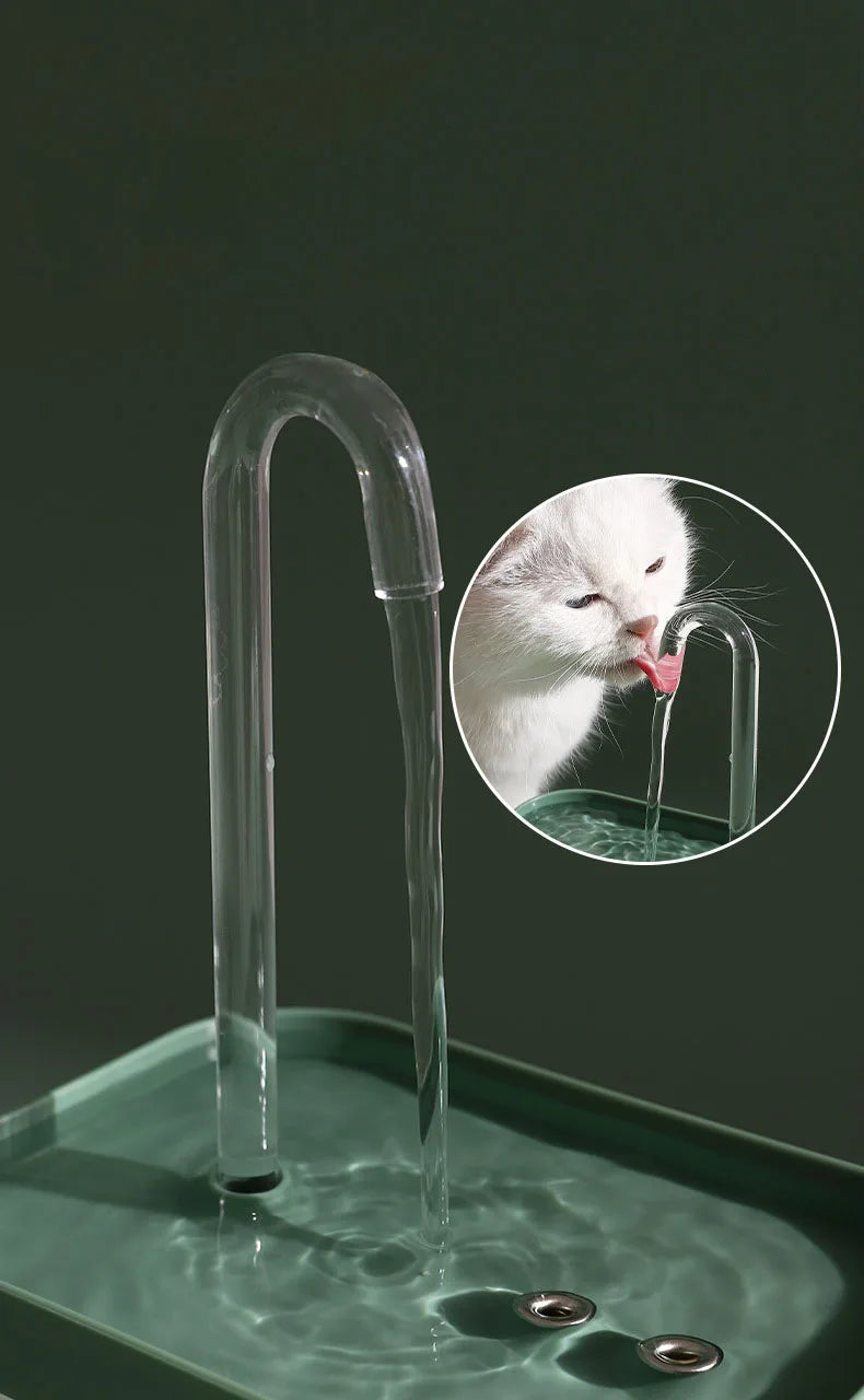 Fontaine à Eau Automatique pour Chats – 1,5L avec Filtre Silencieux USB - 🐾 Miaou & Co