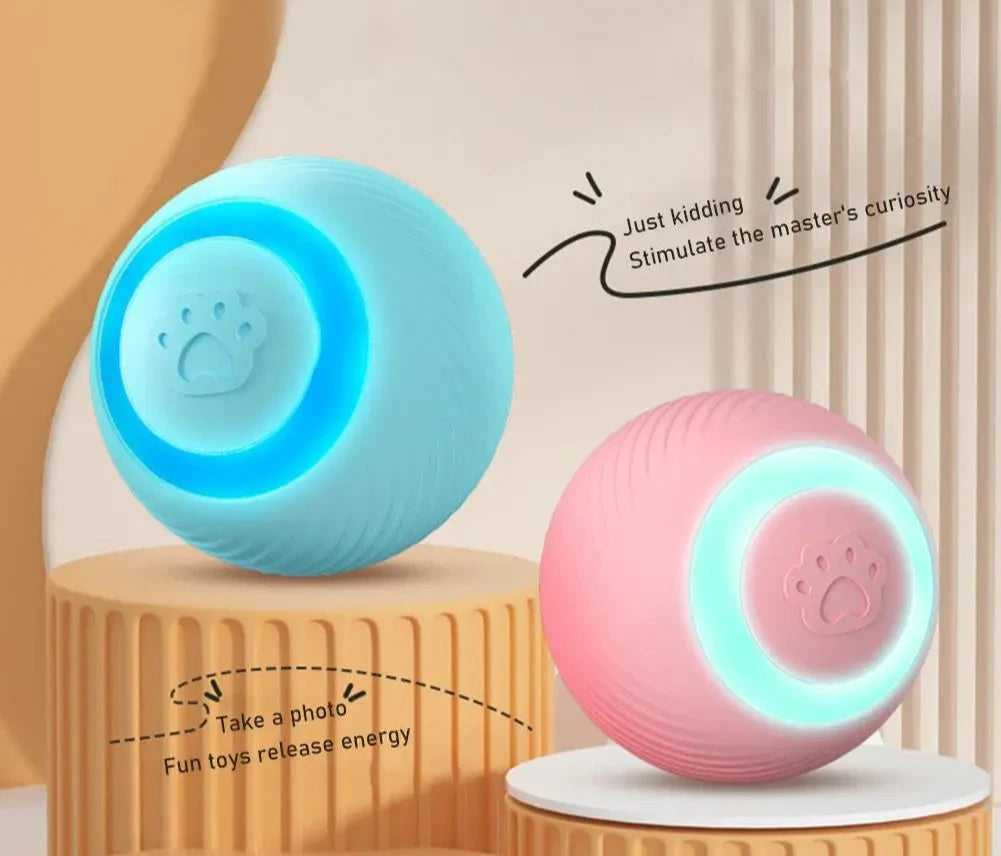 Boule Interactive Électronique pour Chien - Jouet Automatique - 🐾 Miaou & Co