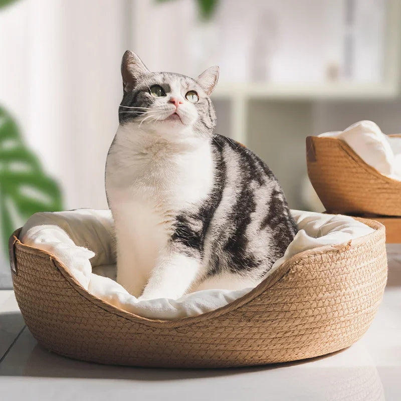 Panier Douillet 4 Saisons pour Chats et Chiens – Coussin Amovible et Imperméable - 🐾 Miaou & Co