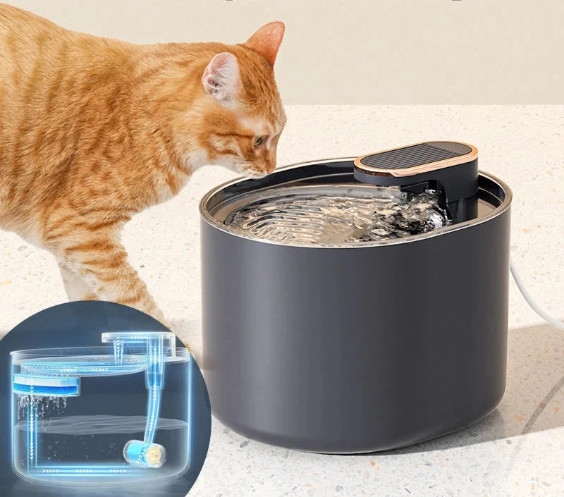 Fontaine à Eau Électrique USB pour Animaux – Distributeur d’Eau avec Filtre Automatique - 🐾 Miaou & Co